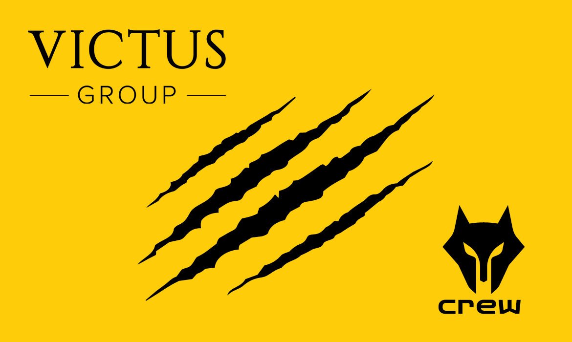 Victus Grupa case study naslovna
