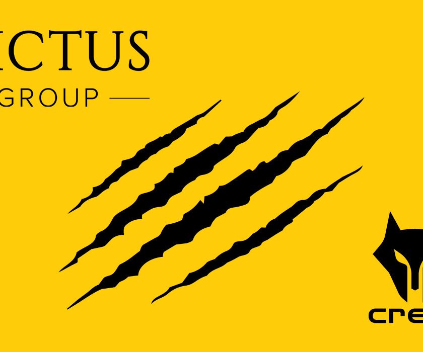 Victus Grupa case study naslovna